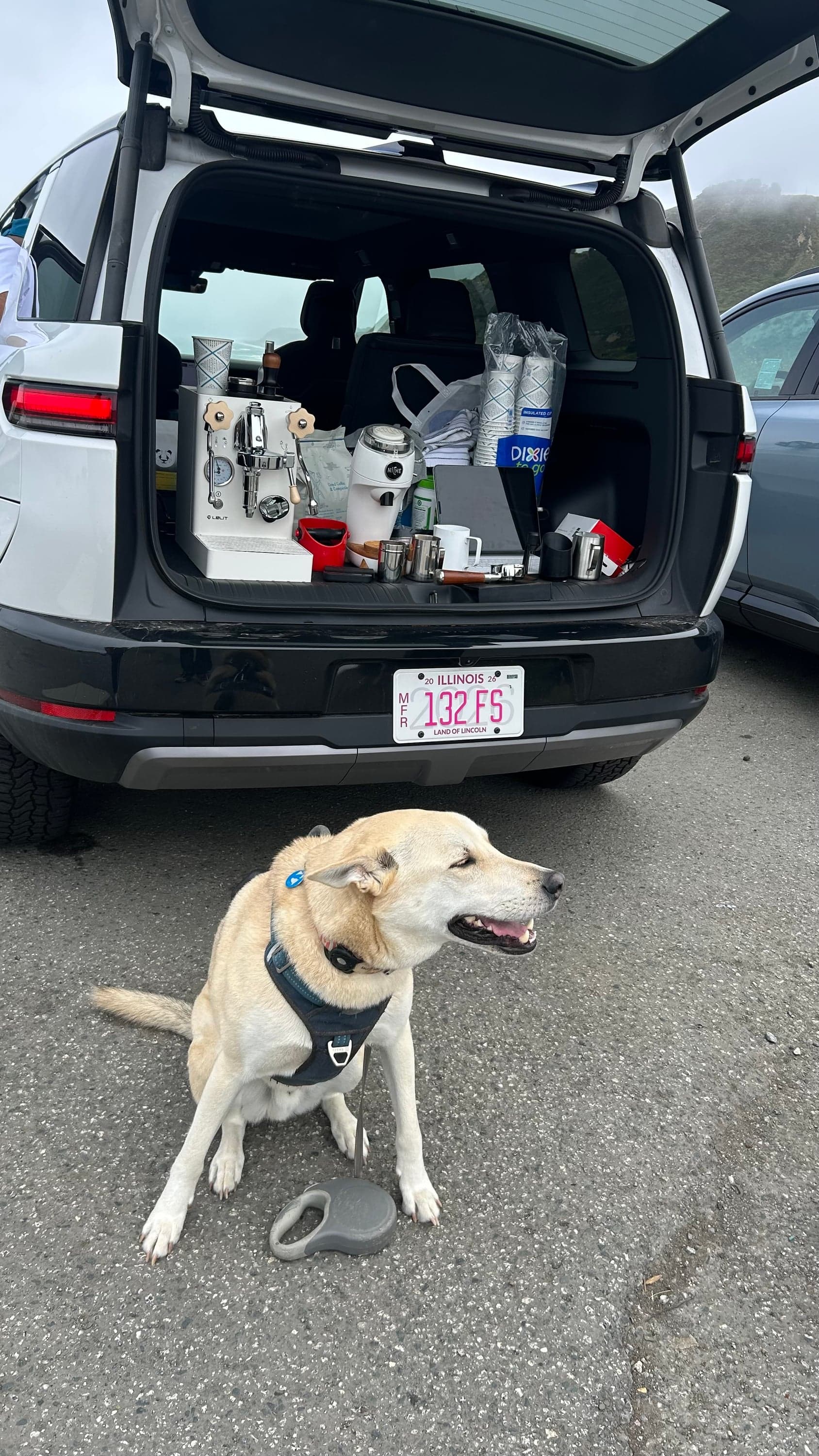 a latte pour
